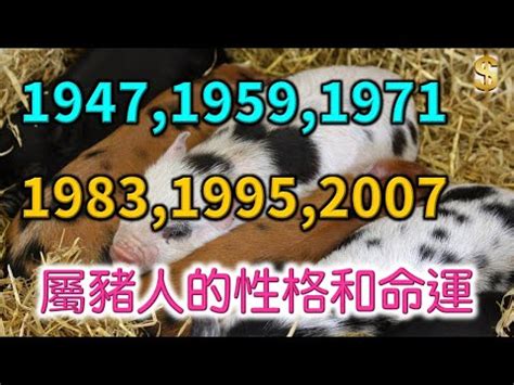 屬豬坐向|【屬豬坐向】屬豬座向樓層超神準！住對吉房旺到翻！